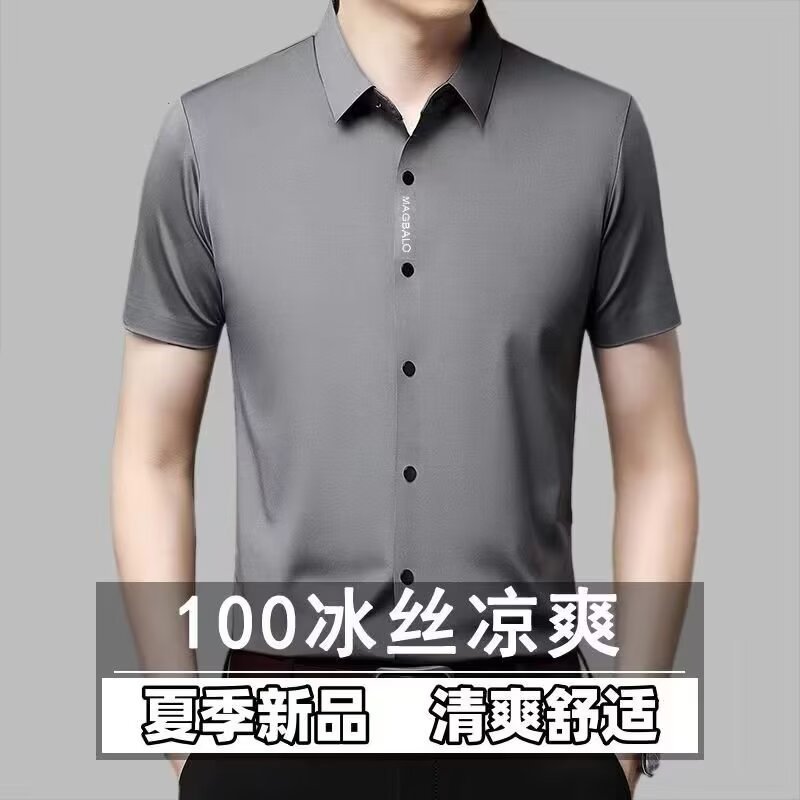 MenS Wrinkle Free Long Sleeve  - Men Formal Wear Shirts recension och pris